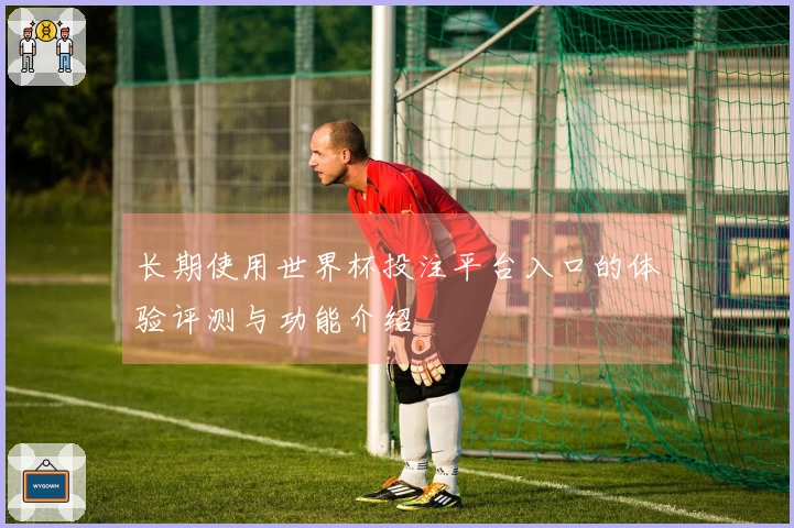 长期使用世界杯投注平台入口的体验评测与功能介绍