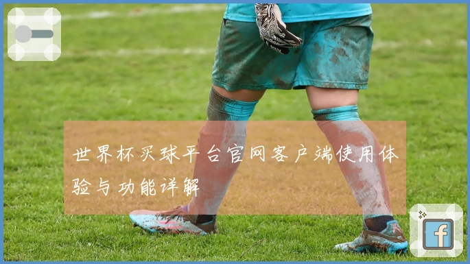 世界杯买球平台官网客户端使用体验与功能详解