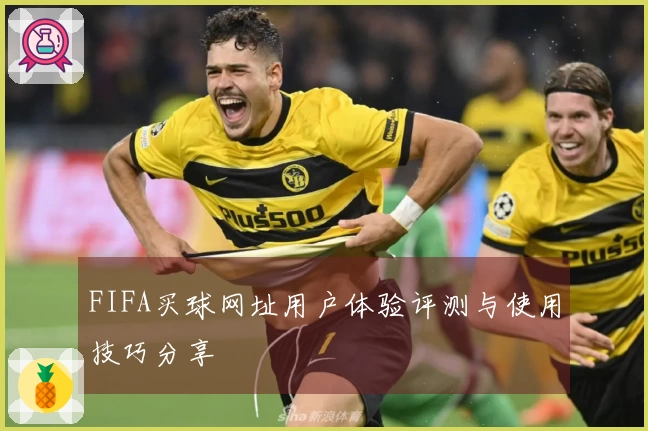 FIFA买球网址用户体验评测与使用技巧分享