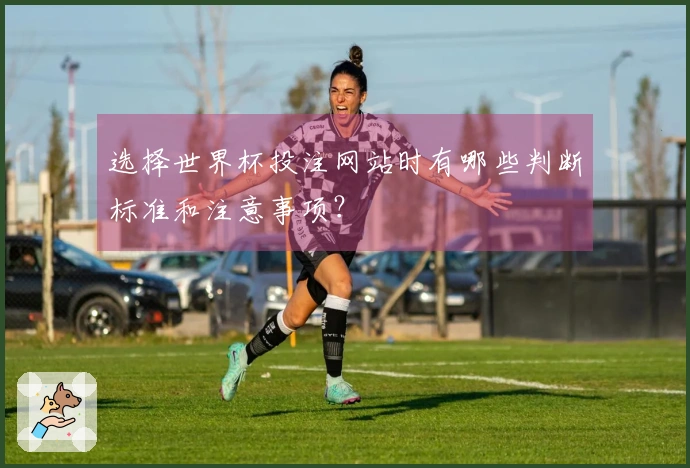 选择世界杯投注网站时有哪些判断标准和注意事项？