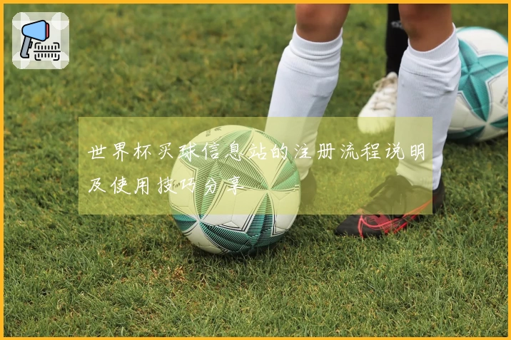 世界杯买球信息站的注册流程说明及使用技巧分享