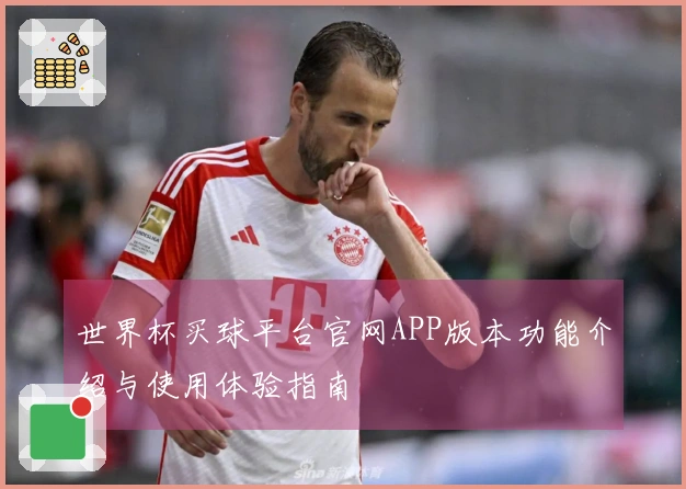 世界杯买球平台官网APP版本功能介绍与使用体验指南