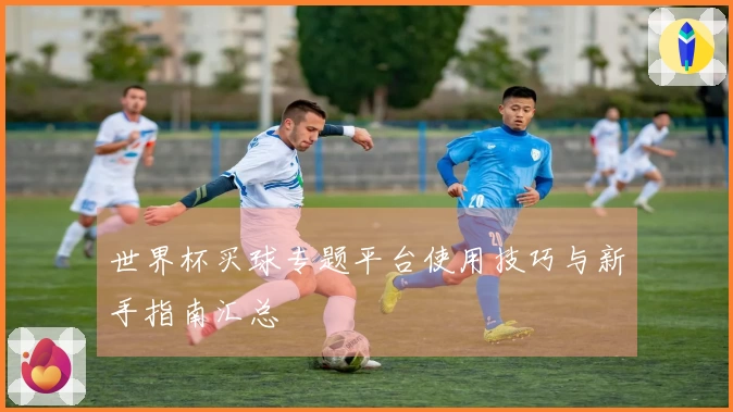 世界杯买球专题平台使用技巧与新手指南汇总