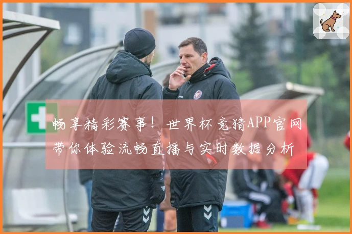畅享精彩赛事！世界杯竞猜APP官网带你体验流畅直播与实时数据分析