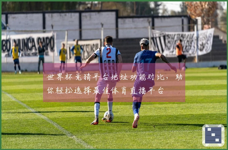 世界杯竞猜平台地址功能对比，助你轻松选择最佳体育直播平台