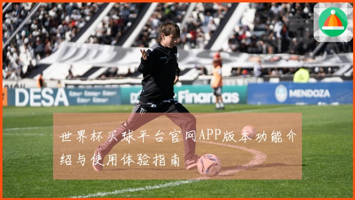 世界杯买球平台官网APP版本功能介绍与使用体验指南