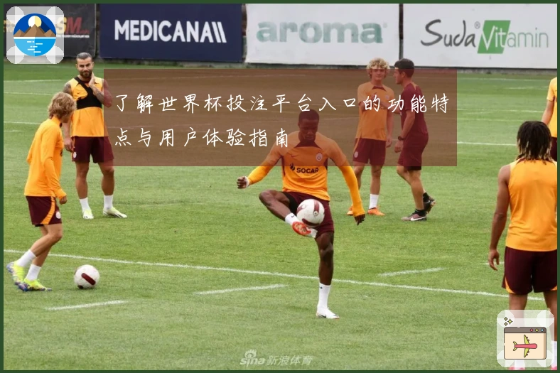 了解世界杯投注平台入口的功能特点与用户体验指南