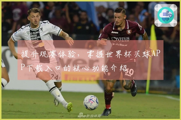 提升观赛体验，掌握世界杯买球APP下载入口的核心功能介绍