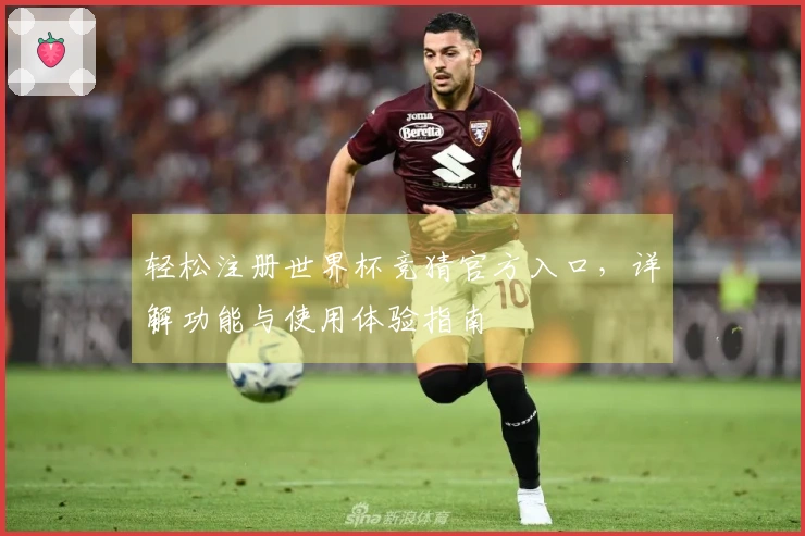 轻松注册世界杯竞猜官方入口，详解功能与使用体验指南